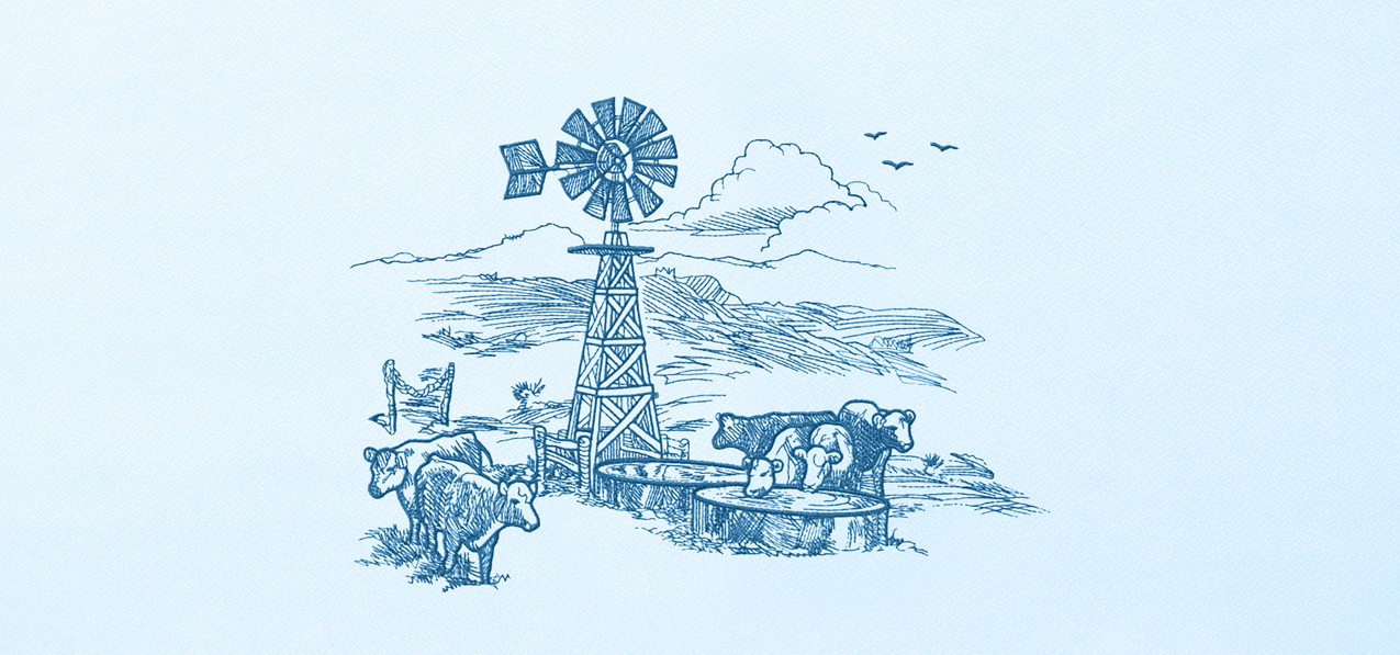 P 561 BL Cattle Scene Blue Blue